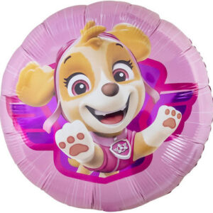 20'' ΜΠΑΛΟΝΙ PAW PATROL -SKYE