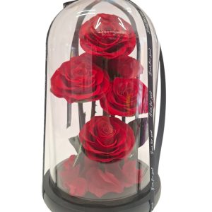 6 ΑΠΟΧΥΜΩΜΕΝΑ ΤΡΙΑΝΤΑΦΥΛΛΑ (ΣΕ ΓΥΑΛΑ)